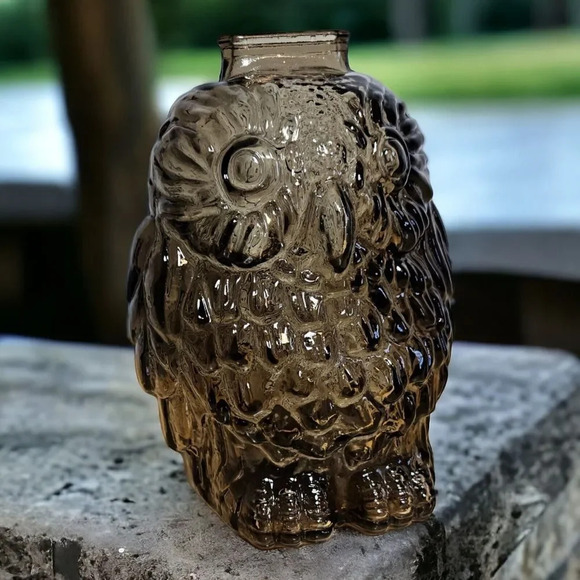 Vintage Wise Old Owl Glass Bank Smokey Gray 6 Inches - Picture 1 of 7